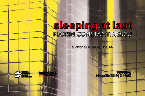 exhibition SLEEPING AT LAST | visual artist Florin Constantinescu